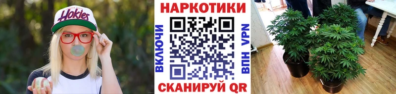 Наркошоп Гаврилов-Ям Амфетамин Cocaine omg онион Меф мяу мяу ГАШ Марихуана СОЛЬ