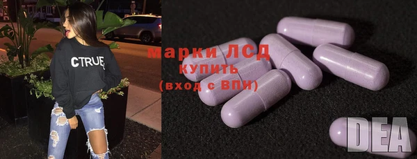 ГАЛЛЮЦИНОГЕННЫЕ ГРИБЫ Беломорск