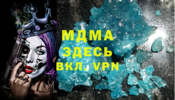 ГАЛЛЮЦИНОГЕННЫЕ ГРИБЫ Ельня