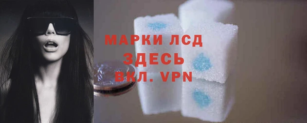 ГАЛЛЮЦИНОГЕННЫЕ ГРИБЫ Беломорск