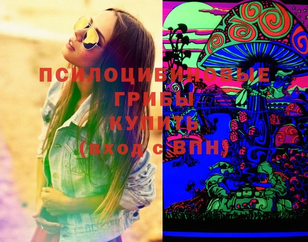 спиды Белокуриха