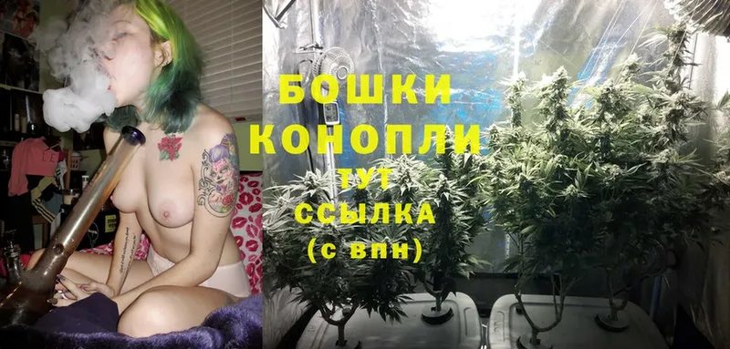 Бошки Шишки Ganja  это телеграм  Гаврилов-Ям  ОМГ ОМГ ссылки 